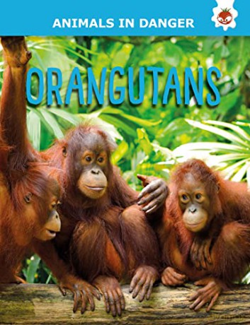Orangutans - Animals In Danger - Emily Kington [KSIĄŻKA]