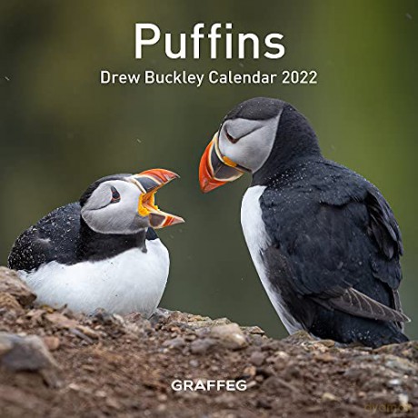 Puffins Calendar 2022 - Drew Buckley [KALENDARZ]