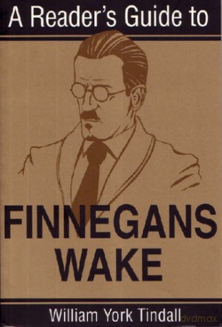 Reader's Guide Finnegan Wake (Reader's Guides) - William York Tindall [KSIĄŻKA]