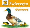 Zwierzęta domowe - karton [KSIĄŻKA]