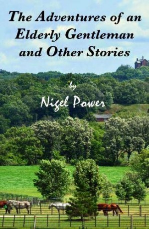 The Adventures Of An Elderly Gentleman And Other Stories - Nigel Power [KSIĄŻKA]
