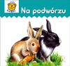 Na podwórzu - karton [KSIĄŻKA]