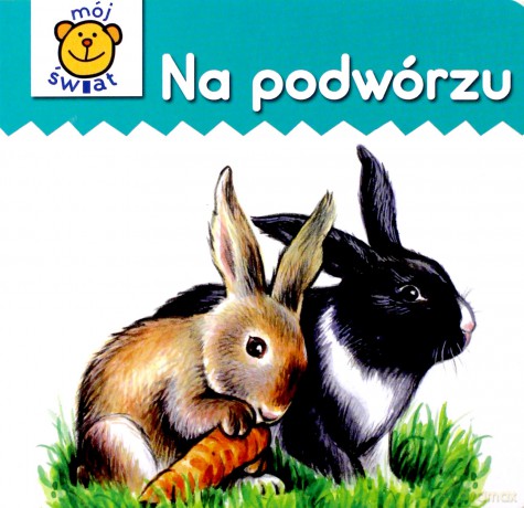 Na podwórzu - karton [KSIĄŻKA]