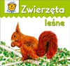 Zwierzęta leśne - karton [KSIĄŻKA]