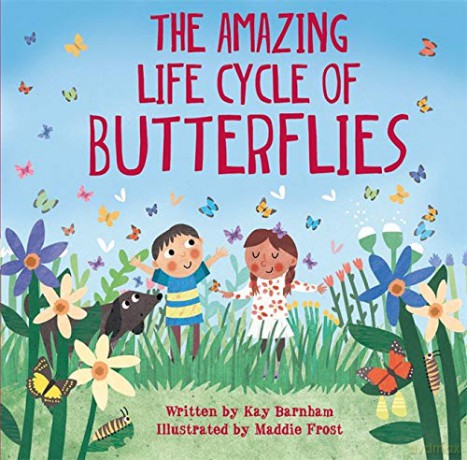 The Amazing Life Cycle of Butterflies - Kay Barnham [KSIĄŻKA]