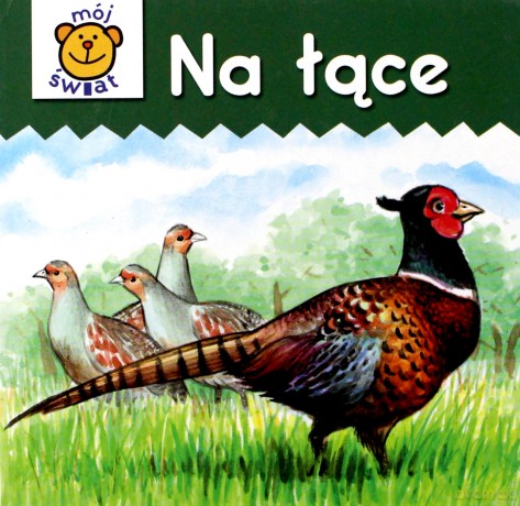 Na łące - karton [KSIĄŻKA]