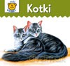 Kotki - karton [KSIĄŻKA]