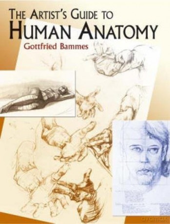 The Artist's Guide to Human Anatomy (Dover Anatomy for Artists) - Gottfried Bammes [KSIĄŻKA]