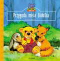 Przygoda misia Bidulka [KSIĄŻKA]