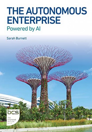 The Autonomous Enterprise: Powered by AI - Sarah Burnett [KSIĄŻKA]