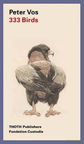333 Birds: Peter Vos - Siegfried Woldhek [KSIĄŻKA]