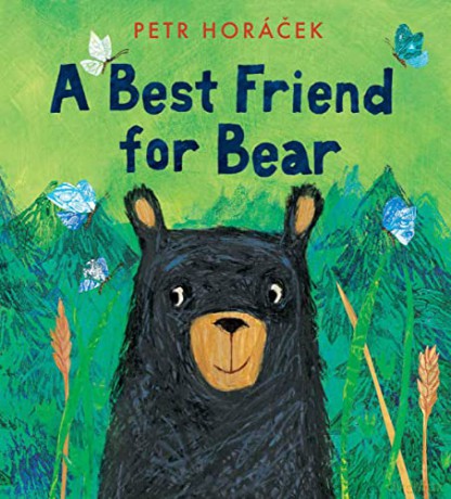 A Best Friend for Bear - Petr Horacek [KSIĄŻKA]