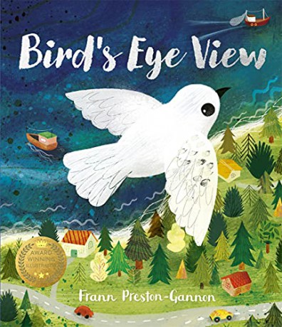 A Bird's Eye View - Frann Preston-Gannon [KSIĄŻKA]