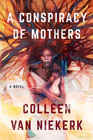 A Conspiracy of Mothers: A Novel - Colleen van Niekerk [KSIĄŻKA]