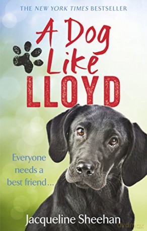 A Dog Like Lloyd - Jacqueline Sheehan [KSIĄŻKA]