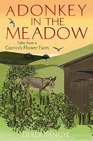 A Donkey in the Meadow (Minack Chronicles): Tales from a Cornish Flower Farm - Derek Tangye [KSIĄŻKA]