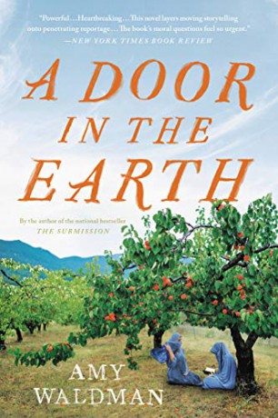 A Door in the Earth - Amy Waldman [KSIĄŻKA]