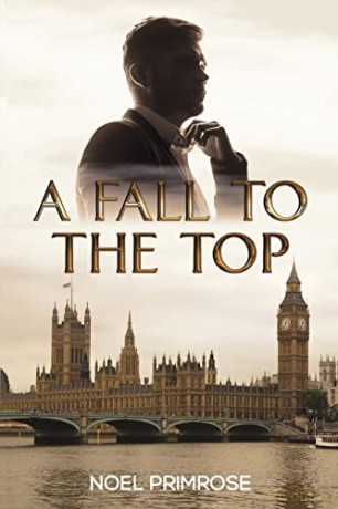 A Fall to the Top - Noel Primrose [KSIĄŻKA]