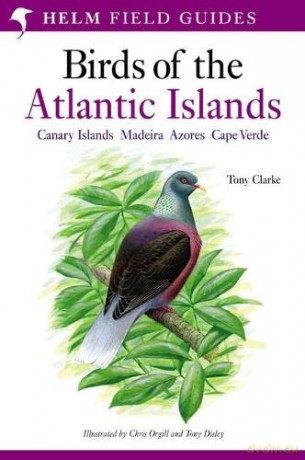 A Field Guide to the Birds of the Atlantic Islands: Canary Islands, Madeira, Azores, Cape Verde (Helm Field Guides) - Tony Clarke [KSIĄŻKA]