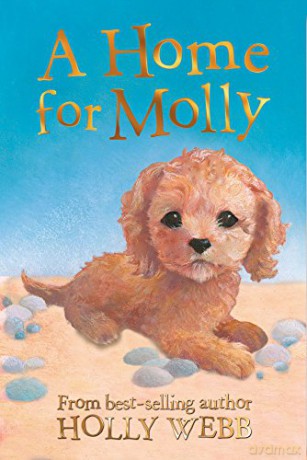A Home for Molly: 31 (Holly Webb Animal Stories, 31) - Holly Webb [KSIĄŻKA]