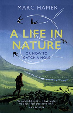 A Life in Nature: Or How to Catch a Mole - Marc Hamer [KSIĄŻKA]
