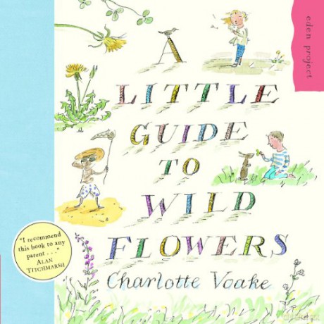 A Little Guide To Wild Flowers - Charlotte Voake [KSIĄŻKA]