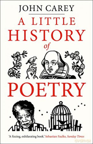 A Little History of Poetry (Little Histories) - John Carey [KSIĄŻKA]
