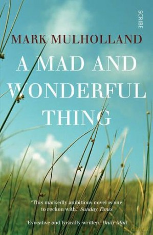 A Mad and Wonderful Thing - Mark Mulholland [KSIĄŻKA]