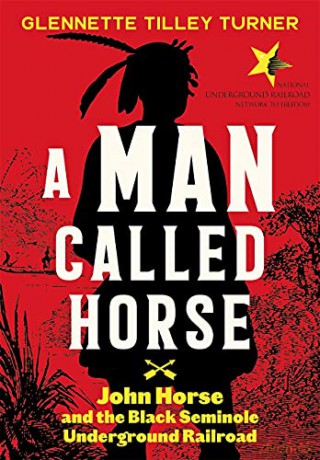 A Man Called Horse: John Horse and the Black Seminole Underground Railroad: John Horse and the Black Seminole Underground Railroad - Glennette Tilley Turner [KSIĄŻKA]