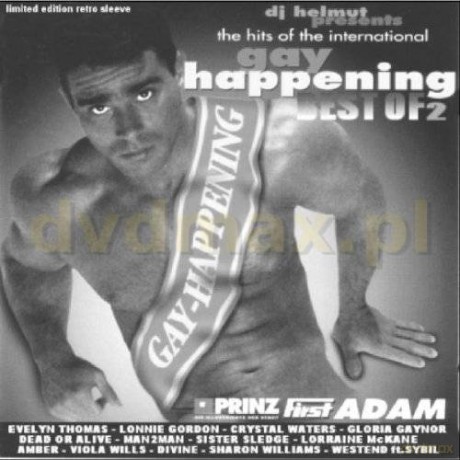 Best Of Gay Happening Vol.2 [CD]