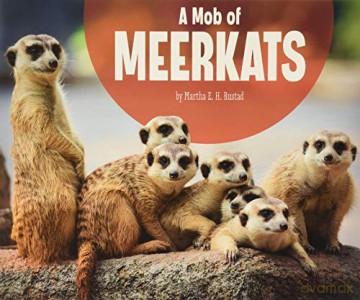 A Mob of Meerkats (Animal Groups) - Martha E. H. Rustad [KSIĄŻKA]