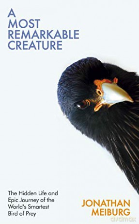 A Most Remarkable Creature: The Hidden Life and Epic Journey of the World's Smartest Bird of Prey - Jonathan Meiburg [KSIĄŻKA]