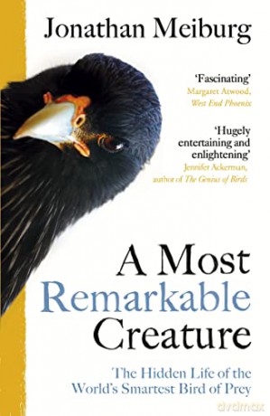 A Most Remarkable Creature: The Hidden Life of the World's Smartest Bird of Prey - Jonathan Meiburg [KSIĄŻKA]