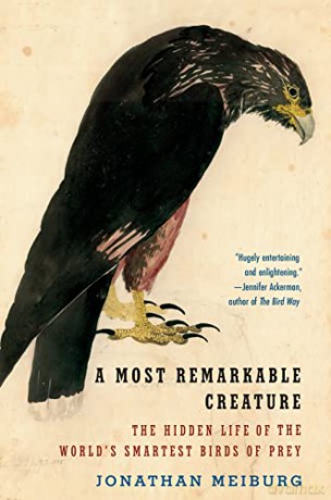 A Most Remarkable Creature: The Hidden Life of the World's Smartest Birds of Prey - Jonathan Meiburg [KSIĄŻKA]