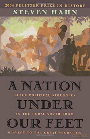 A Nation Under Our Feet: Black Political Struggles in the Rural South from Slavery to the Great Migration - Steven Hahn [KSIĄŻKA]