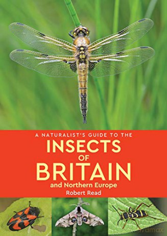 A Naturalist's Guide to the Insects of Britain and Northern Europe (2nd edition) - Robert Read [KSIĄŻKA]