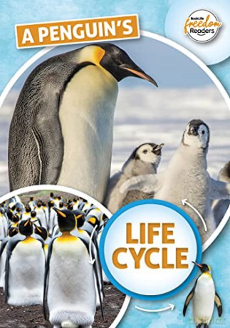 A Penguin's Life Cycle (BookLife Freedom Readers) - Madeline Tyler [KSIĄŻKA]