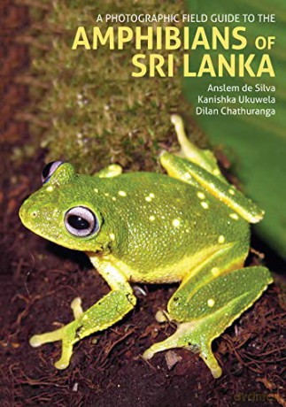 A Photographic Field Guide to the Amphibians of Sri Lanka - Dilan Chathuranga [KSIĄŻKA]
