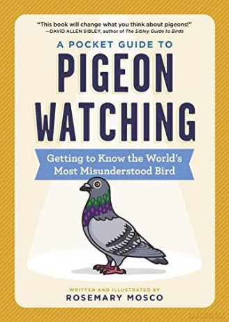 A Pocket Guide to Pigeon Watching: Getting to Know the World's Most Misunderstood Bird - Mosco [KSIĄŻKA]