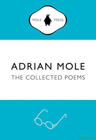 Adrian Mole: The Collected Poems: Sue Townsend - Sue Townsend [KSIĄŻKA]