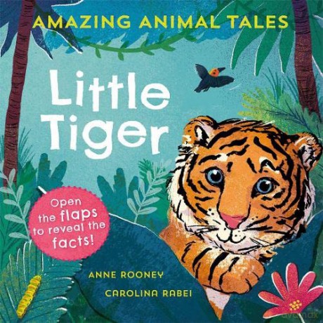 Amazing Animal Tales: Little Tiger - Anne Rooney [KSIĄŻKA]