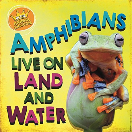 Amphibians Live on Land and in Water - Sarah Ridley [KSIĄŻKA]