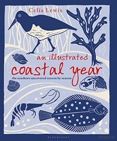 An Illustrated Coastal Year: The seashore uncovered season by season - Celia Lewis [KSIĄŻKA]