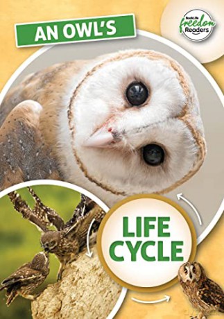 An Owl's Life Cycle (BookLife Freedom Readers) - Madeline Tyler [KSIĄŻKA]