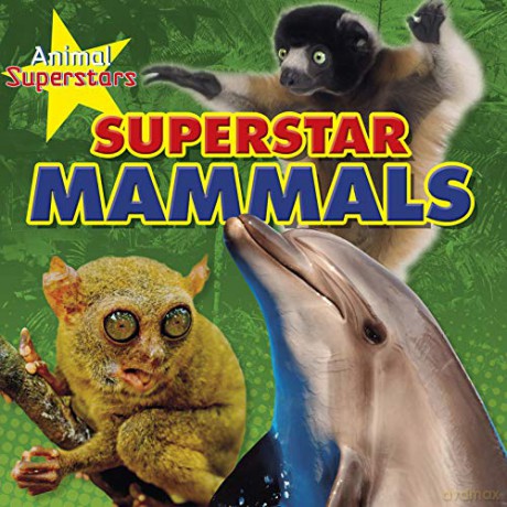 Animal Superstars: Mammal Superstars - Louise Spilsbury [KSIĄŻKA]