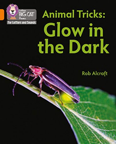 Animal Tricks: Glow in the Dark: Band 06/Orange (Collins Big Cat Phonics for Letters and Sounds) - Rob Alcraft [KSIĄŻKA]