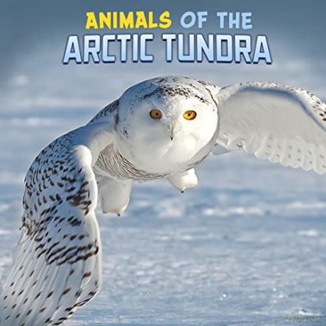 Animals of the Arctic Tundra (Wild Biomes) - Martha E. H. Rustad [KSIĄŻKA]