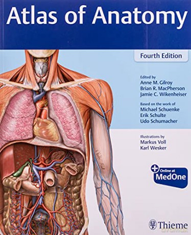 Atlas of Anatomy - Anne M Gilroy [KSIĄŻKA]