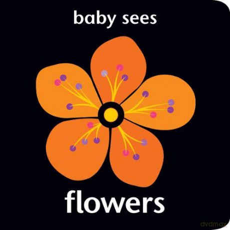 Baby Sees Flowers - Chez Picthall [KSIĄŻKA]