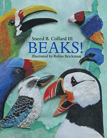 Beaks! - Sneed B. Collard III [KSIĄŻKA]